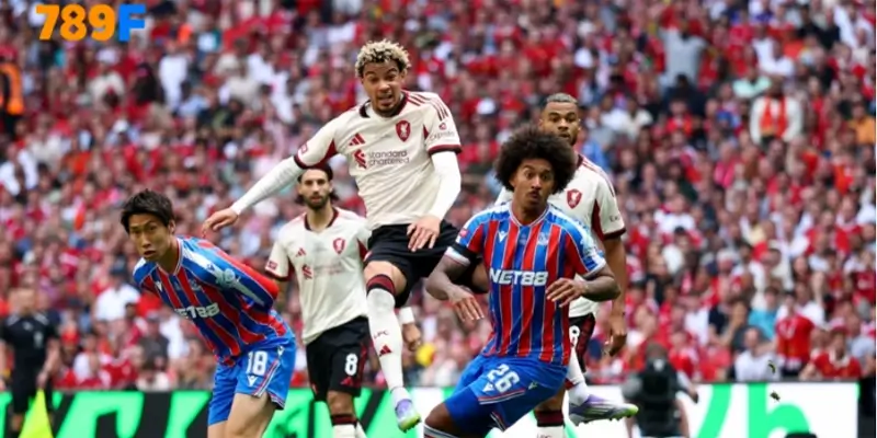Casino Việt thua lỗ triền miên dù được ưu đãi lớn 3 Crystal Palace – đối thủ không dễ chơi, đặc biệt trong bối cảnh Liverpool thiếu vắng Ekitike do án treo giò từ Carabao Cup