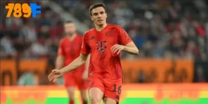 Joao Palhinha có thể chuyển chính sau khi cho mượn ở Tottenham 4 Joao Palhinha có thể chuyển chính sau khi cho mượn ở Tottenham