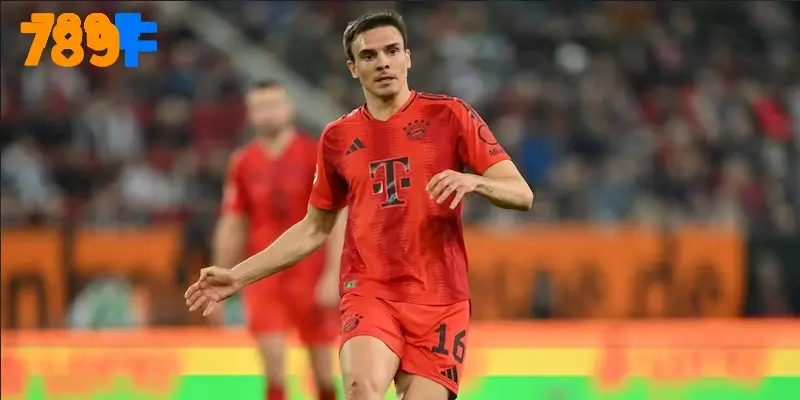Joao Palhinha có thể chuyển chính sau khi cho mượn ở Tottenham 1 Joao Palhinha có thể chuyển chính sau khi cho mượn ở Tottenham